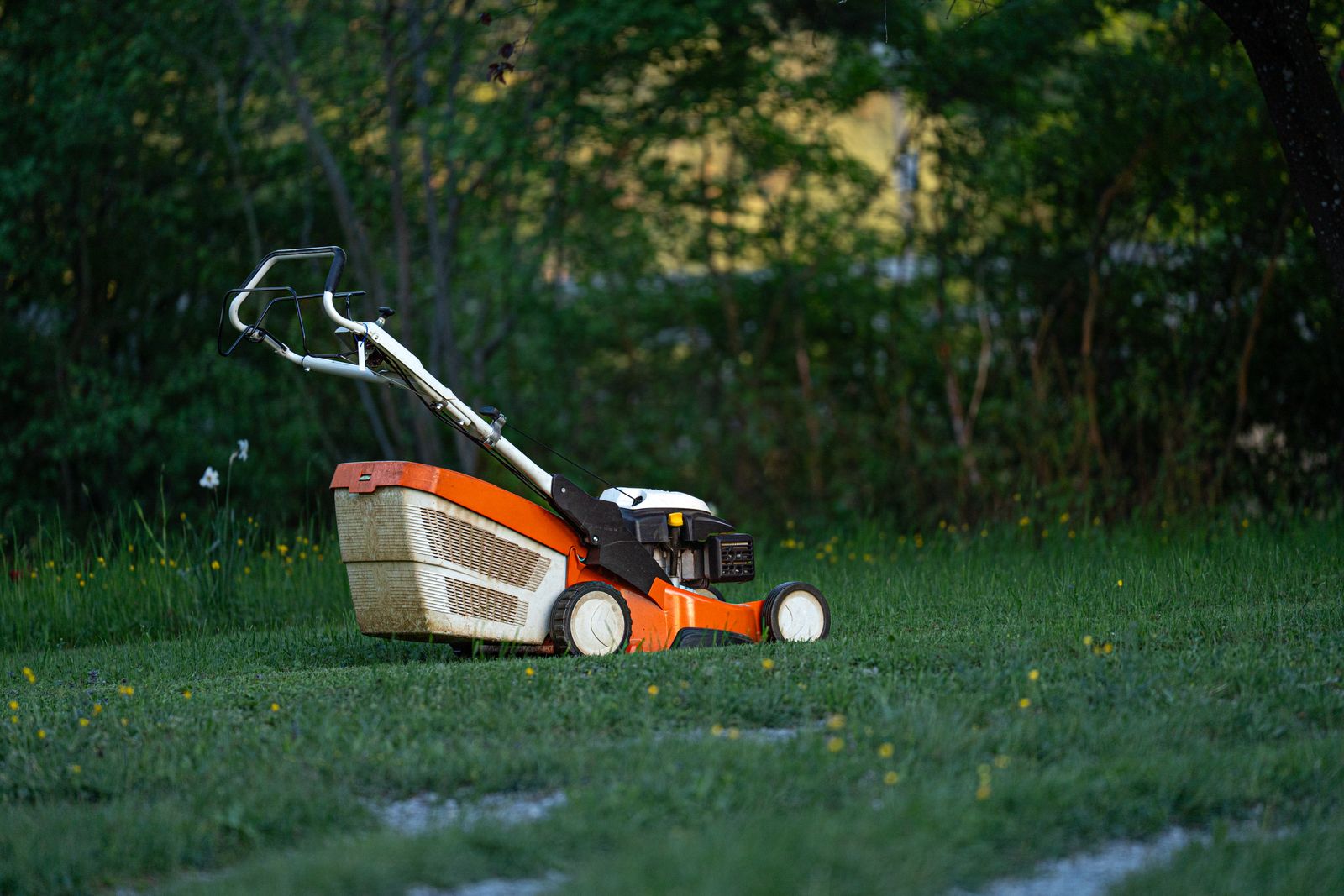 Spring lawn care checklist