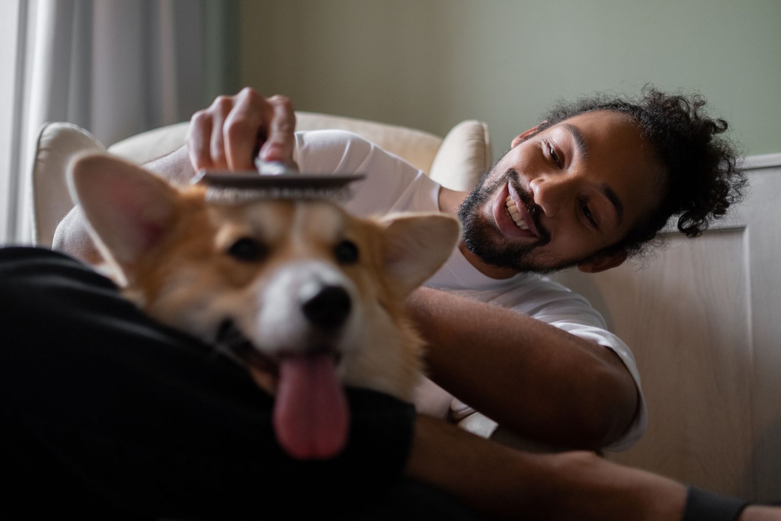 How often should your dog be groomed?