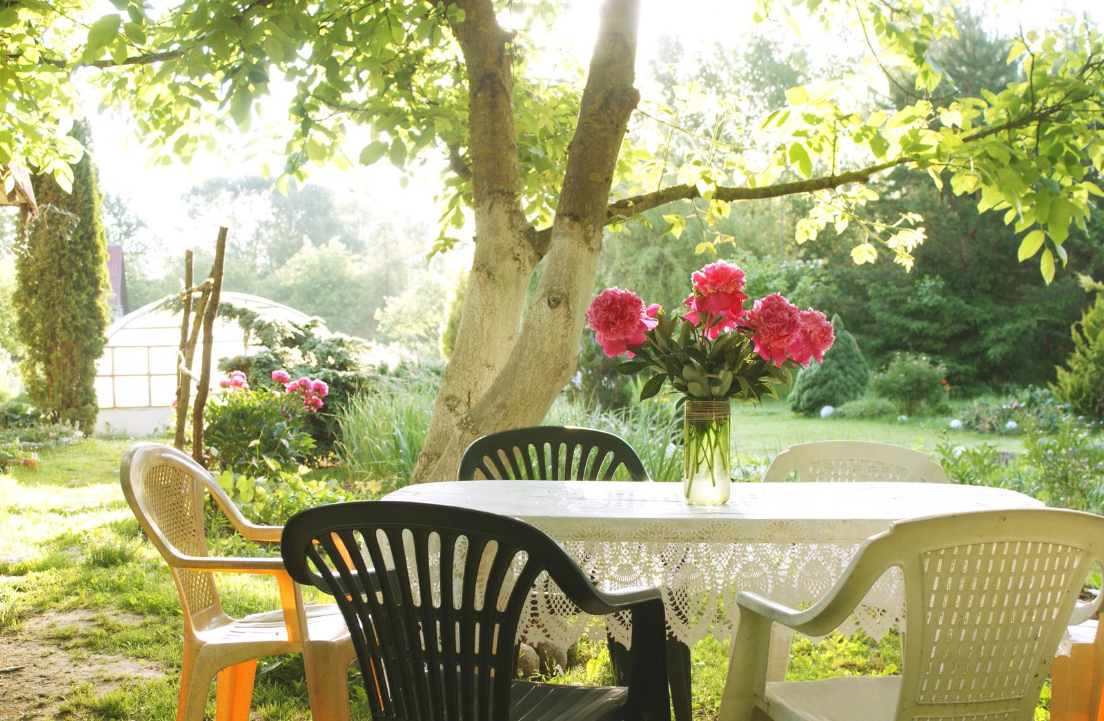 How to keep wasps away from your garden this summer