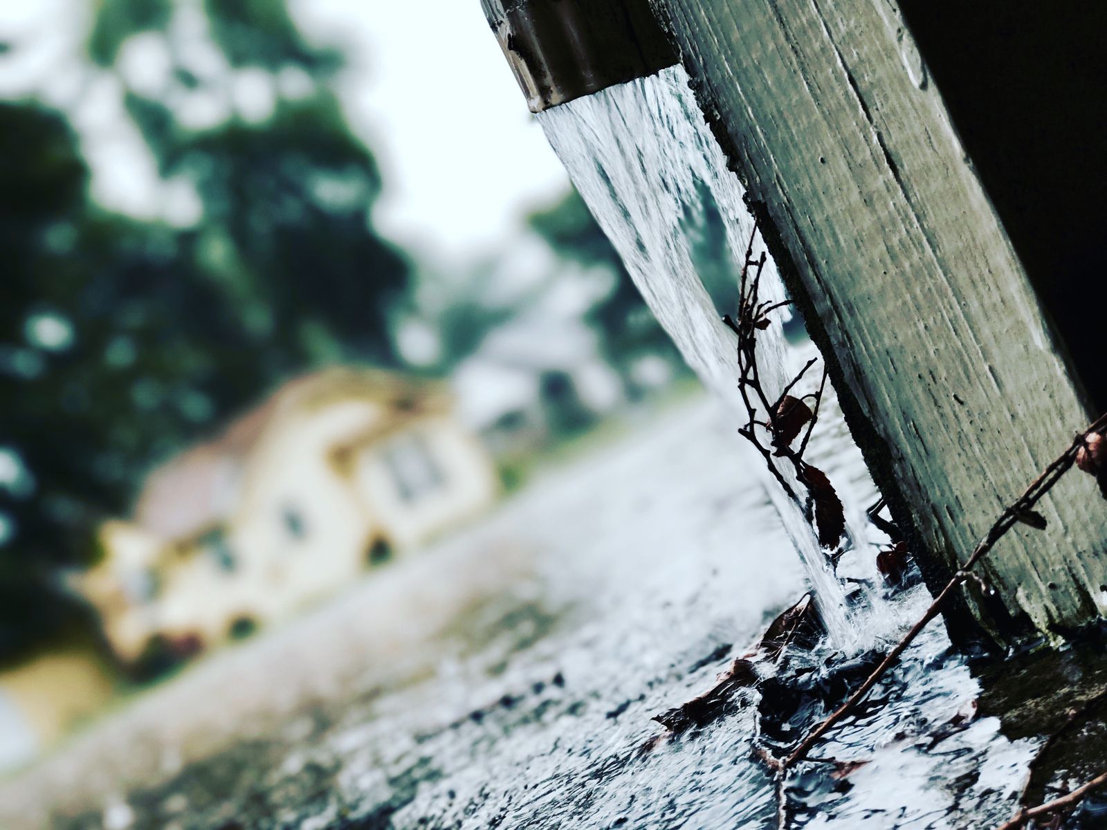 How to keep your gutters clear