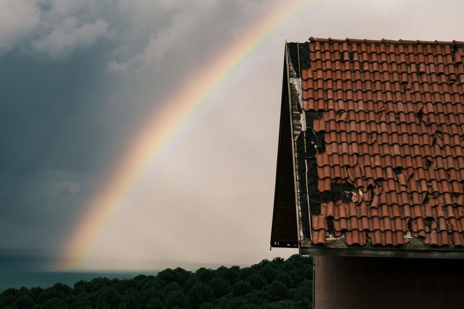 What to do after a storm damages your roof