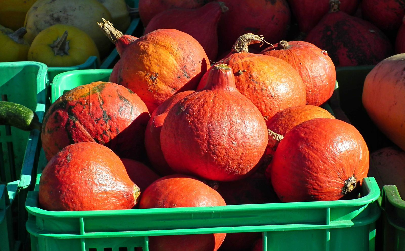 What’s in season this month