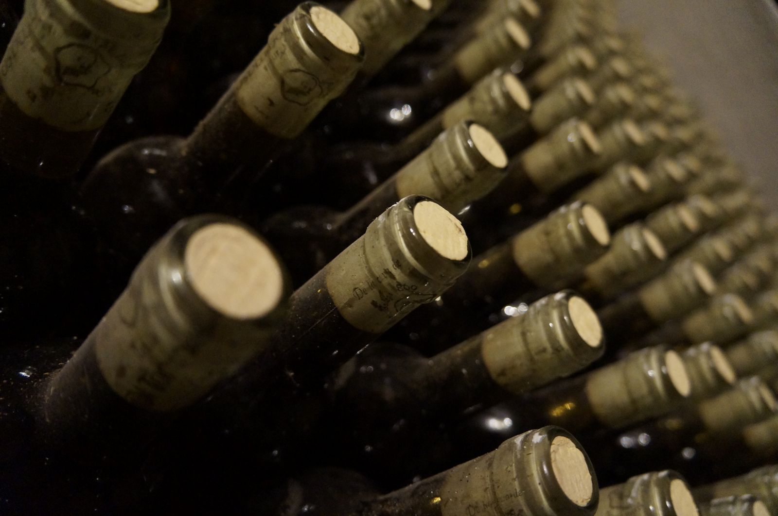 How to store wine at home