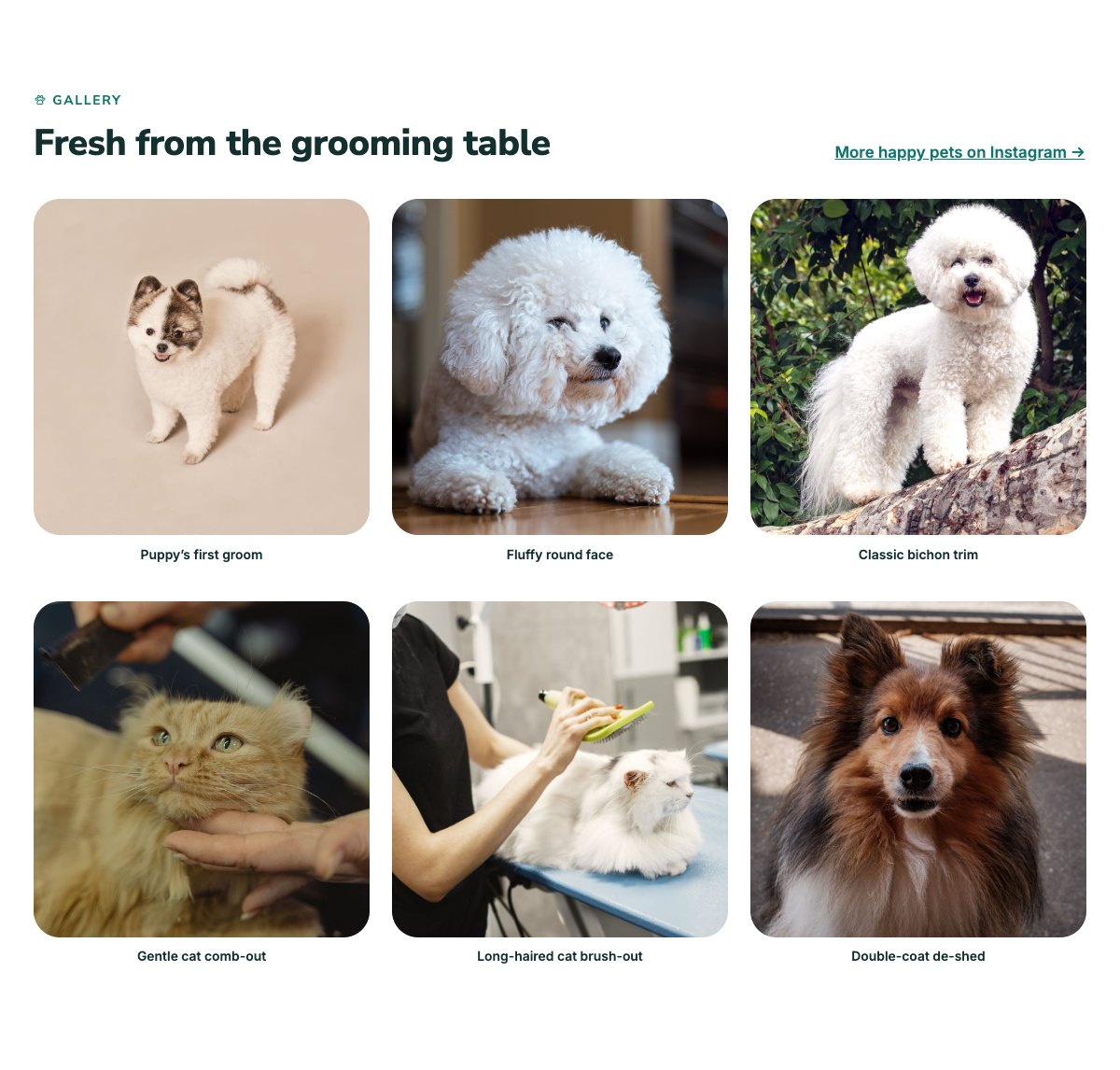 Pet gallery