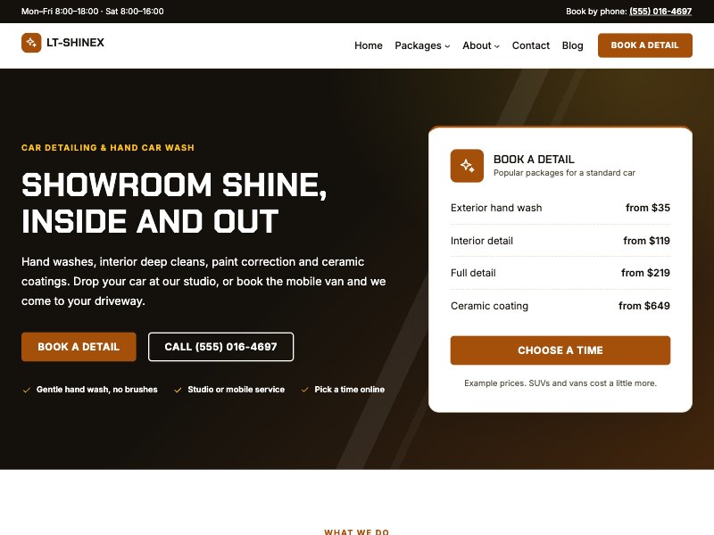 LT Shinex – Carnauba colour style