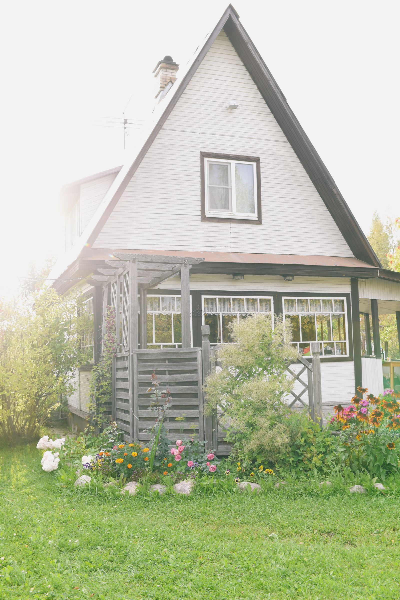 A family home with a front garden