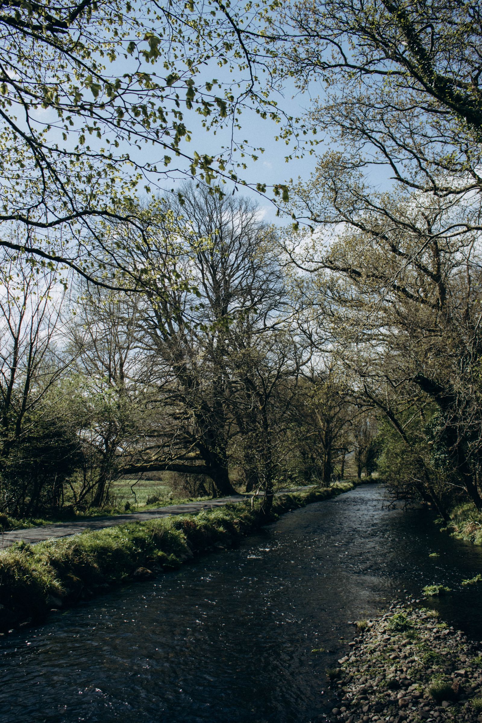 The path by the brook