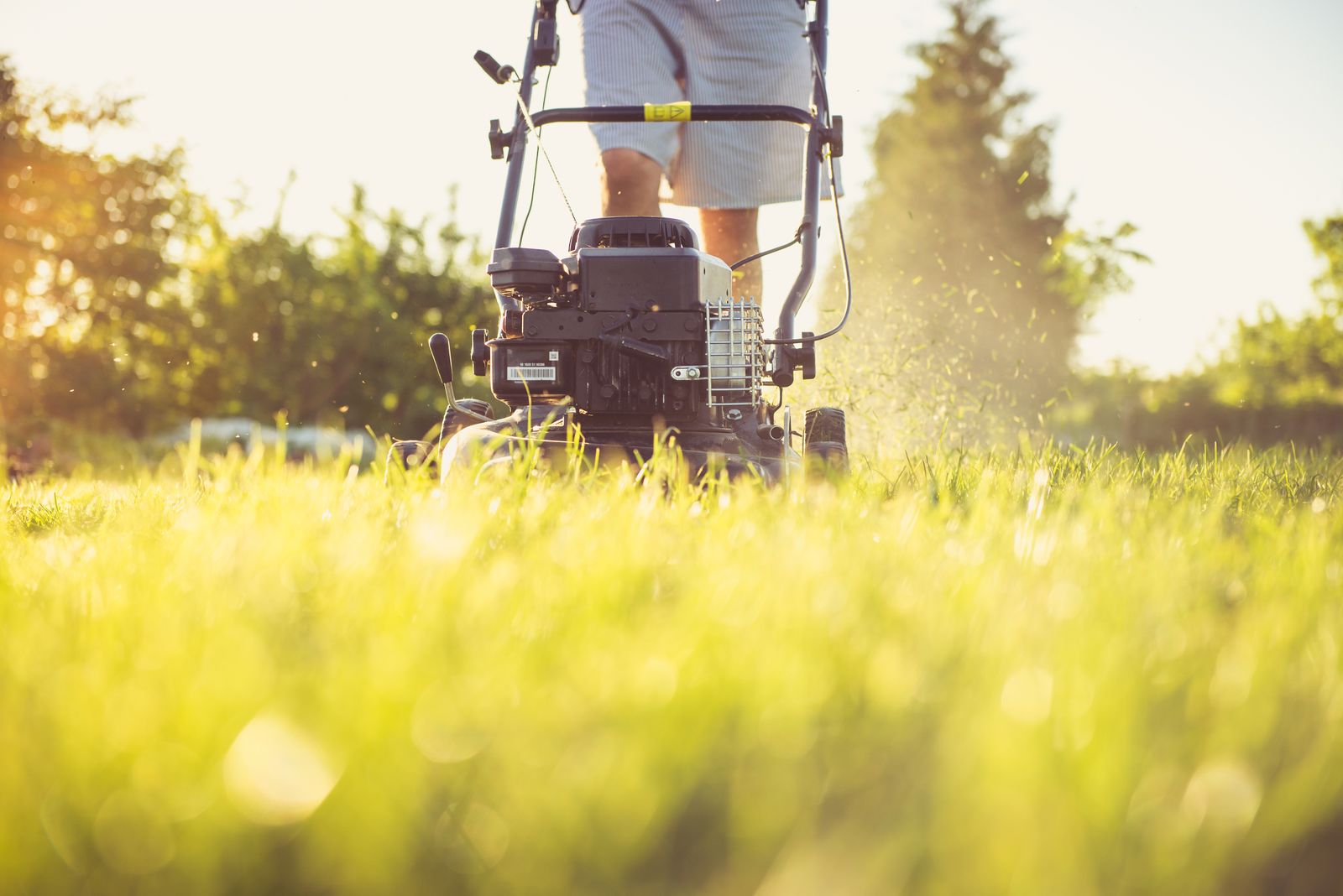 A gardener mowing a striped lawn