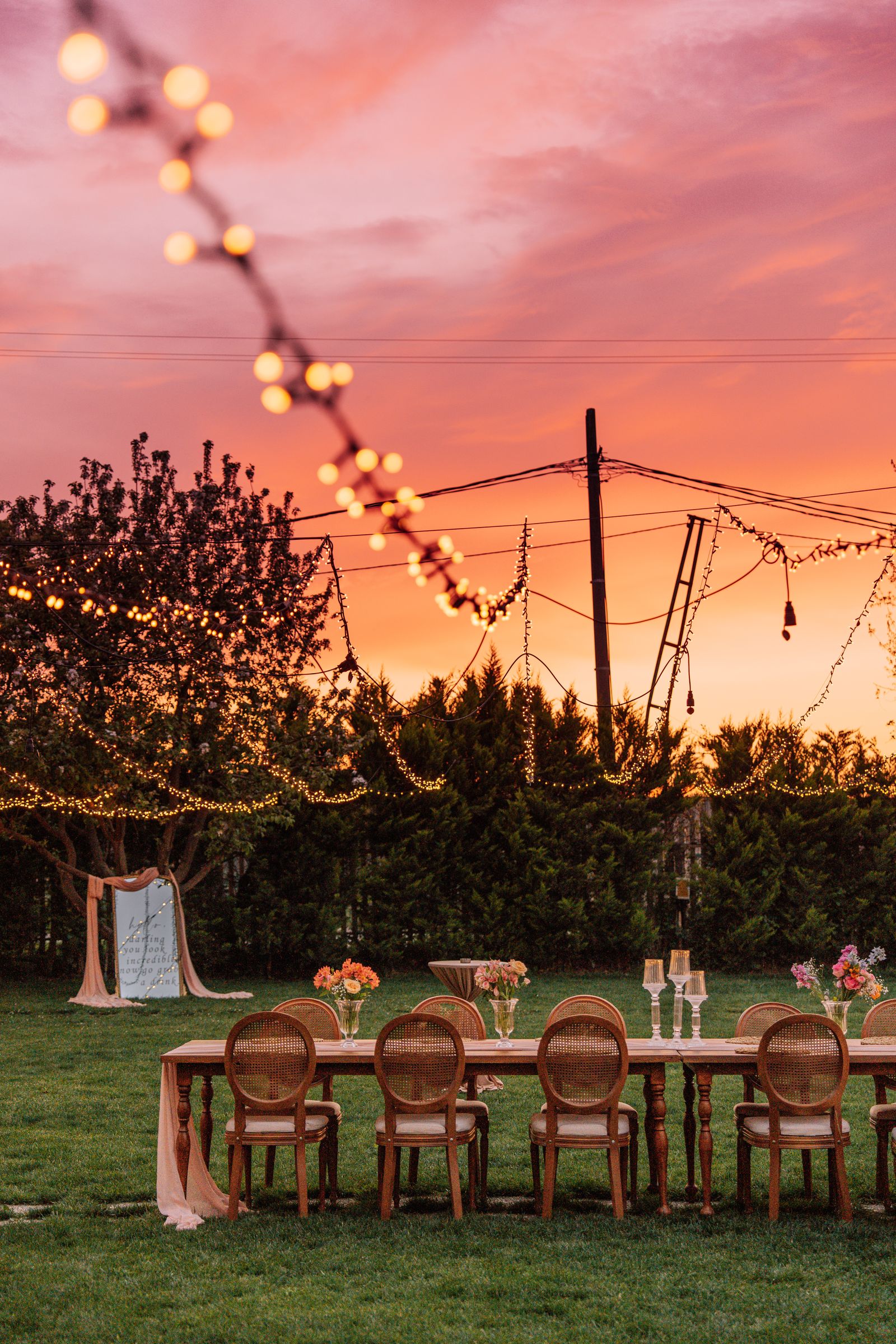 Dinner on the lawn