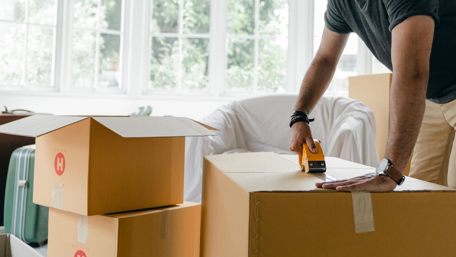 Packed moving boxes, a tape roll and a plant
