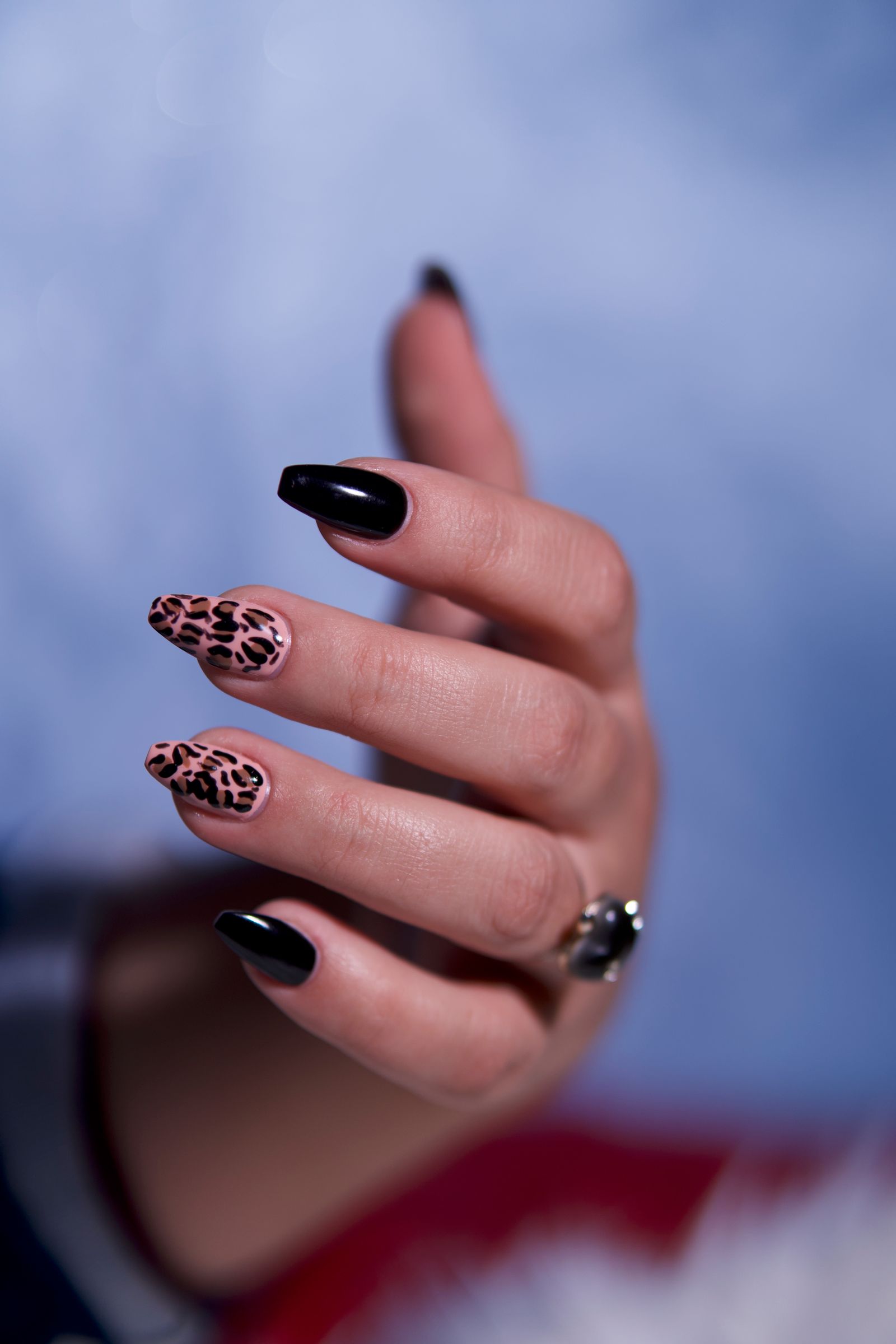 Leopard & black