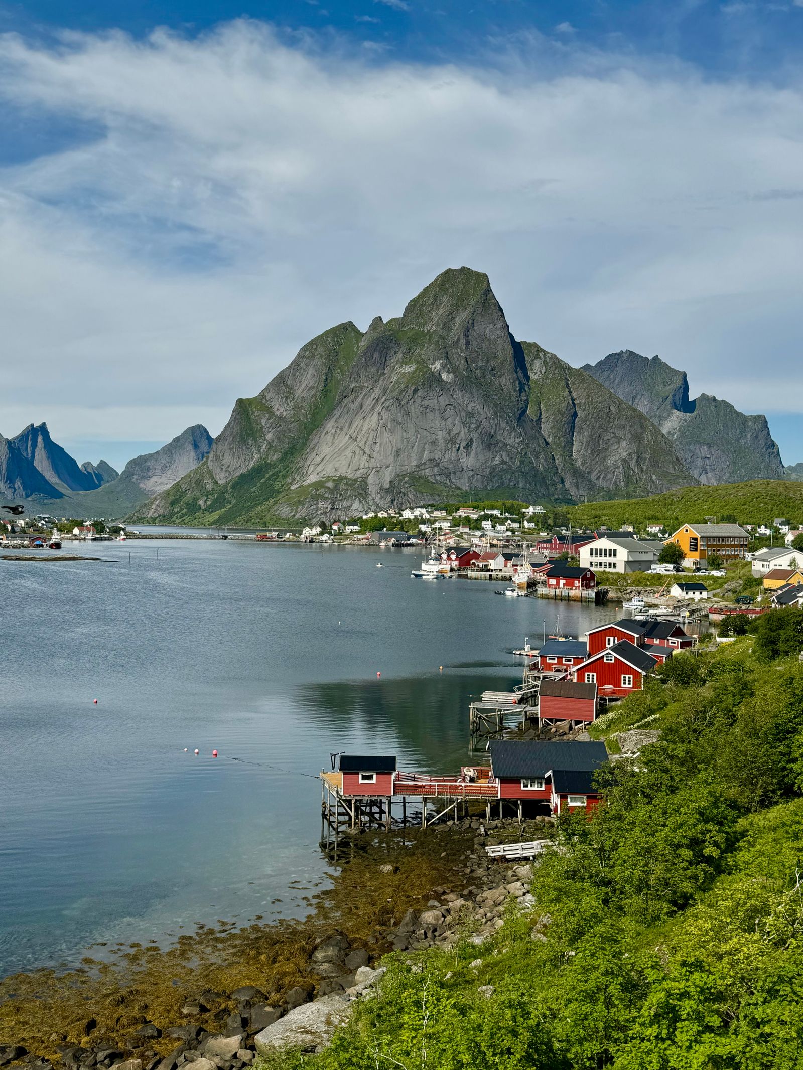 Nordic fjords