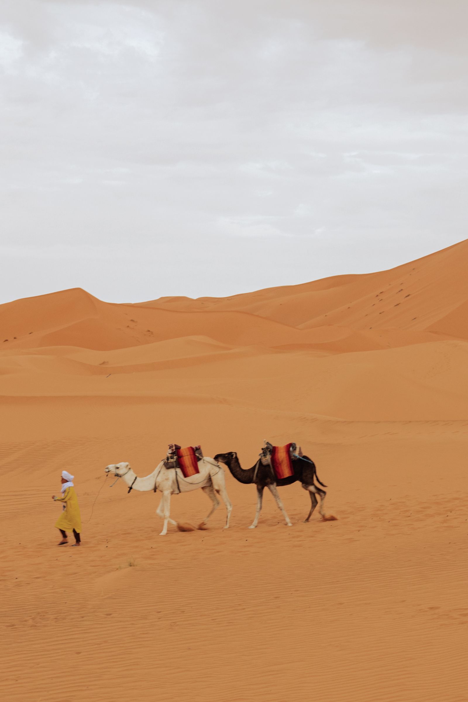 Desert & medinas