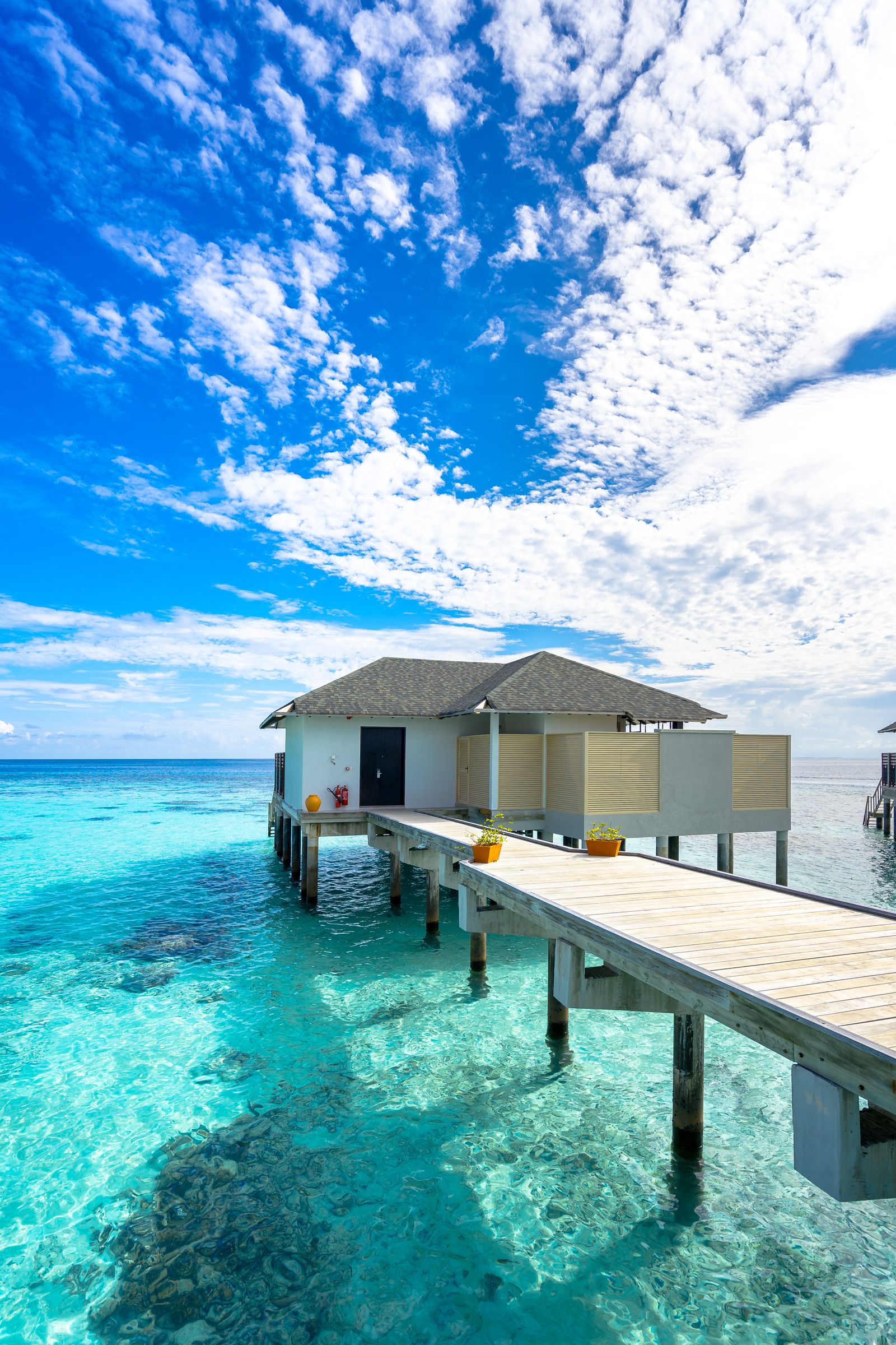 Tropical islands