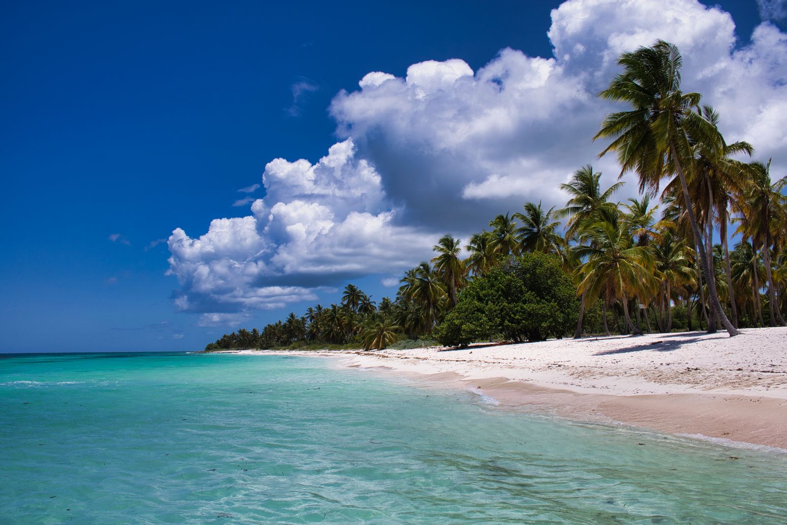 Island honeymoon