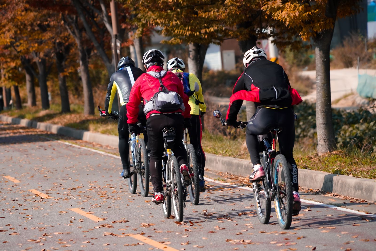 Three riders seen from behind on a quiet country road